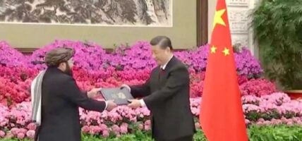 सी जिनपिङद्धारा चीनका लागि तालिवानी राजदूतको स्वागत