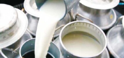 दूध आयातमा लगाइएको प्रतिबन्धको डेरी सङ्घद्वारा स्वागत