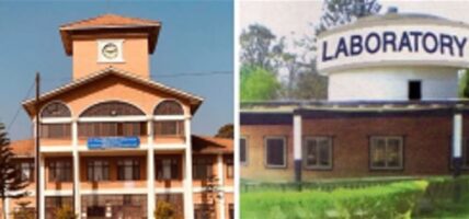 त्रिभुवन विश्वविद्यालयको जग्गामा भूमाफियाको चलखेल