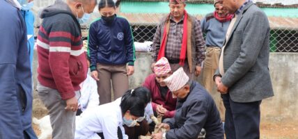 एकीकृत घुम्ती शिविरमा २३ हजार पशुको उपचार