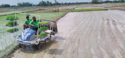 चैते धानखेतीतर्फ झापाका किसानको आकर्षण बढ्दो