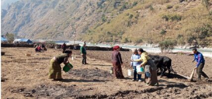सामूहिक खेतीबाट आत्मनिर्भर बन्दै महिला