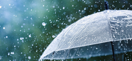 कोशी, बागमती र गण्डकीमा आज वर्षाको सम्भावना