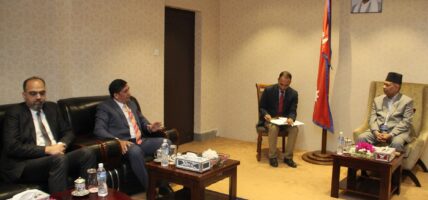 उपराष्ट्रपति यादवसँग पाकिस्तानका राजदूतको शिष्टाचार भेट