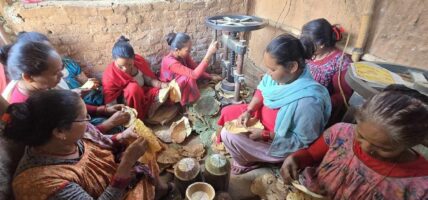 दाङमा दुनाटपरी उद्योगबाट राम्रो आम्दानी