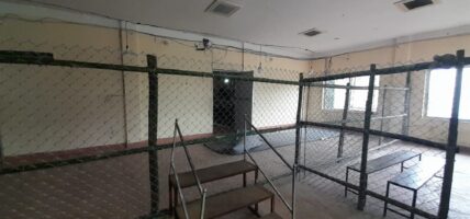 इलाम उपनिर्वाचन: मतगणना सुरु