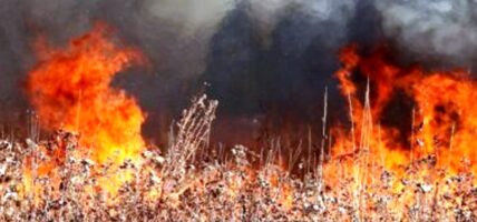 एक महिनामा आगलागी र वन डढेलोबाट २६ को मृत्यु