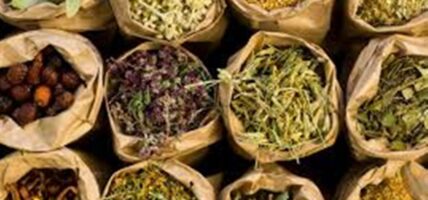 नेपालगञ्ज नाकाबाट नौ महिनामा ७० करोडबढीको जडिबुटी निकासी