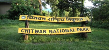 चितवन राष्ट्रिय निकुञ्जमा बाघ र गैँडा मृत फेला
