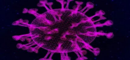 नेपालमा नयाँ कोरोनाको भेरियन्ट पुष्टि