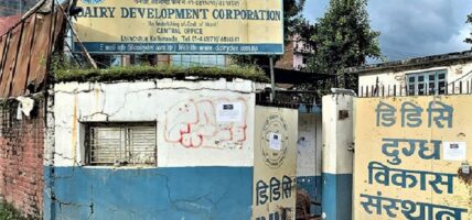 डिडिसीले गत मङ्सिरदेखि सङ्कलन गरेको दूधको भुक्तानी किसानलाई गर्न सकेन