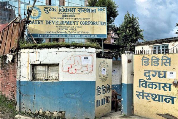 आर्थिक घोटलाको आशंकामा दुग्ध विकास संस्थानमा सीआईबीको छापा आर्थिक घोटलाको आशंकामा दुग्ध विकास संस्थानमा सीआईबीको छापा