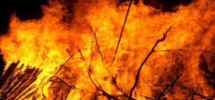 मंगोलियाको जंगलमा आगलागी बढ्यो