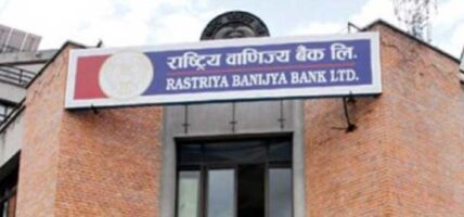 राष्ट्रिय वाणिज्य बैंकको नायब प्रमुख कार्यकारी अधिकृतमा लोहनी