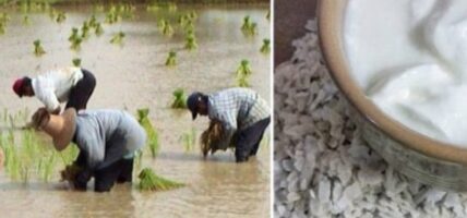 आज असार १५, दही चिउराको सांस्कृतिक पर्व मनाइँदै