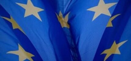 German experts condemn Chinese tariffs imposed by the EU