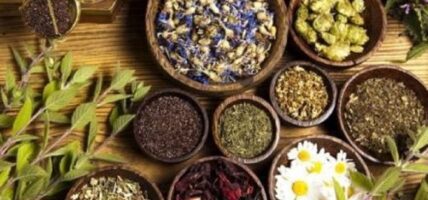 आजदेखि ‘औषधिजन्य जडीबुटी मेला’ 