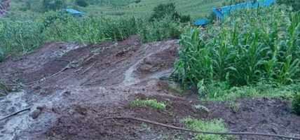 गुल्मी पहिरो : एकै घरका पाँच जनाको मृत्यु