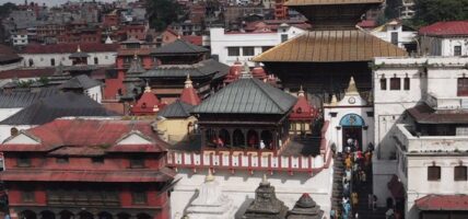 पशुपति क्षेत्र विकास कोषको कार्यकारी निर्देशकमा जोशी