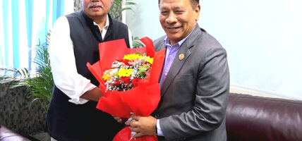 उपप्रधानमन्त्री सिंहसँग भारतीय राजदूतको शिष्टाचार भेट
