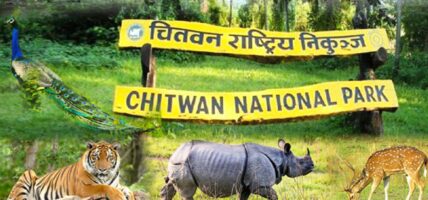 चितवन राष्ट्रिय निकुञ्जमा पर्यटक आगमनमा वृद्धि