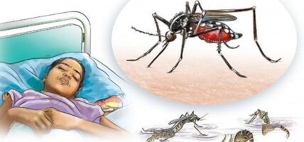 २२ हजार भन्दा बढीमा डेंगु सङ्क्रमण, ११ जनाको मृत्यु