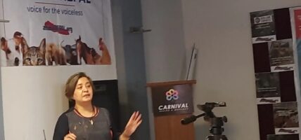 पशुपन्छीमाथिको ज्यादति रोक्नु पर्दछ, सुलक्षणा राणा प्रमुख एनिमल नेपाल