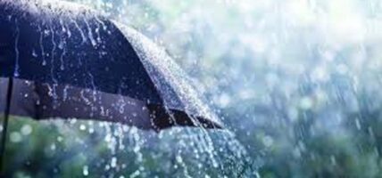 भोलिदेखि मनसुन पुन:सक्रिय हुँदै