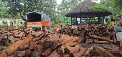 पर्सामा दुई हजार दुई ९१ क्युफिट काठ बरामद