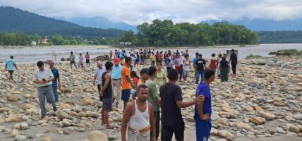 मान्छेलाई आक्रमण गर्ने बाघ खोज्न ड्रोन र हात्तीको प्रयोग
