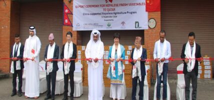 Qatar started exporting vegetables produced in Nepal