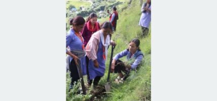 तीजको अवसरमा शिक्षिकाहरूले गरे वृक्षरोपण