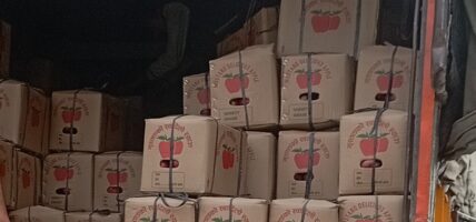 कालीमाटी तरकारी बजारमा मुस्ताङबाट ल्याइएको स्याऊ