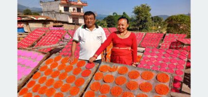 आयआर्जनको बलियो माध्यम झिनिया व्यवसाय