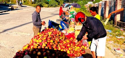 भारतीय सीमा जोडिएका नेपाली बजारमा पनि कर्णालीको स्याउ