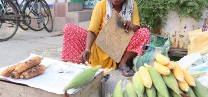 मकै बेचेर जीवन निर्वाह