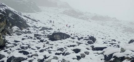 चिसोबाट जोगिन प्राधिकरणको अनुरोध