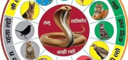 सुरु भयो ‘सर्प वर्ष’