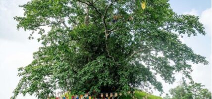 बुद्धकालीन सहरको संरचना भेटिएको दाबी