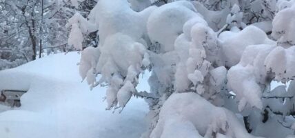 सङ्खुवासभाको मकालु क्षेत्रमा हिमपात, जनजीवन प्रभावित