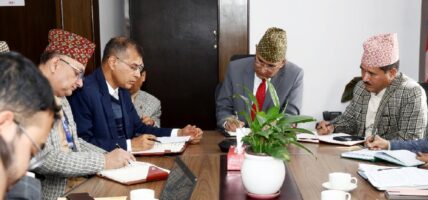 चार महिनाभित्र लेखापरीक्षण गरिसक्न राष्ट्रिय जीवन बिमा कम्पनीलाई निर्देशन