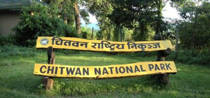 चितवन निकुञ्जद्वारा नियमविपरीत काम गर्ने ६५ जनालाई कारबाही