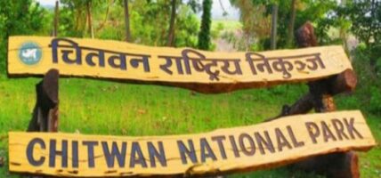 In just six months, 110,000 people visited Chitwan National Park