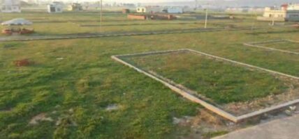 सरकारी कृषि फार्मको जग्गा दुई दशकदेखि अतिक्रमणमा