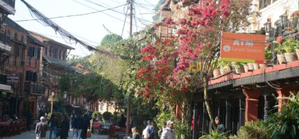 बन्दीपुरको मौलिकता जोगाउन गाउँपालिकाको कडाइ