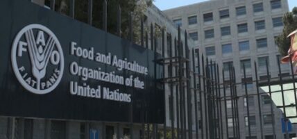 विश्व खाद्य मूल्यमा गिरावट : एफएओ