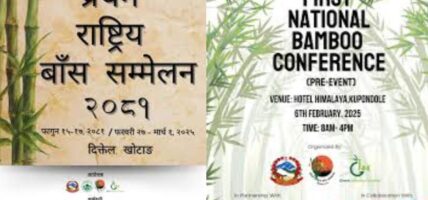 First National Bamboo Conference underway