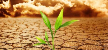 जलवायु परिवर्तनको प्रभाव न्युनिकरणको मुख्य लक्ष्य हाँसिल गर्न चीन अझै सङ्घर्षरत