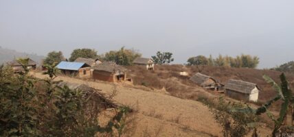 बाँदर आतङ्कले  बस्ती नै खण्डहर