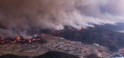 दक्षिण कोरियामा डढेलोमा परि २६ मृत्यु